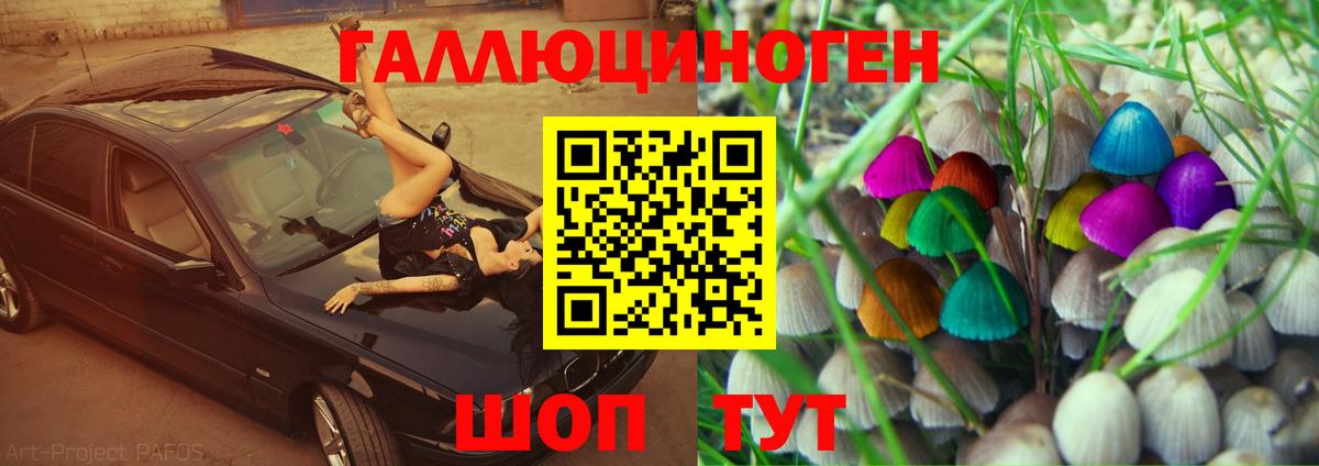 Псилоцибиновые грибы GOLDEN TEACHER  Псилоцибиновые грибы Psilocybe  Вход с VPN  Волжский 